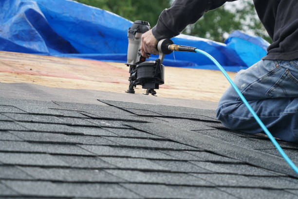 Roof Moss and Algae Removal in Hasley Canyon, CA